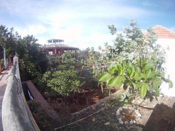 Villa Morgana Cape Verde Resort Calheta de Sao Miguel Экстерьер фото